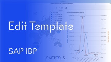 SAP IBP -Excel EPM- Edit Template