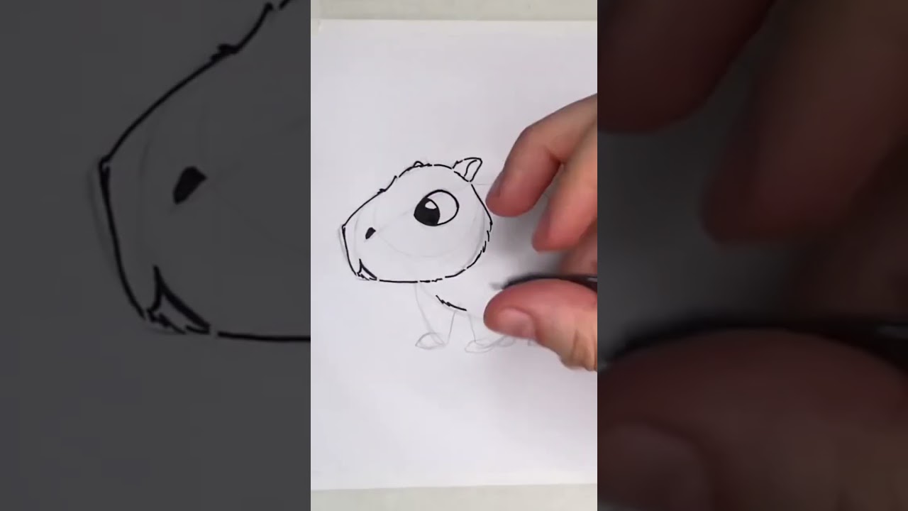 Como desenhar uma CAPIVARA passo a passo, FÁCIL e RÁPIDO (Como desenhar  Animais) 