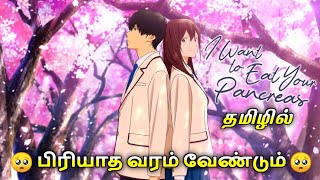 I want to eat your pancreas anime movie explain in tamil | Infinity animation