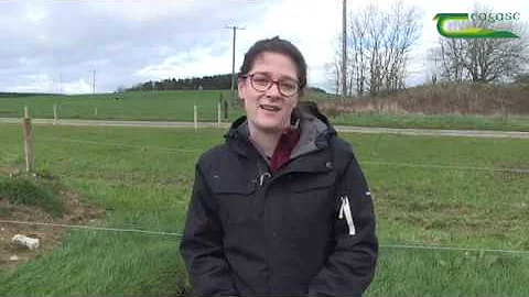 Genevieve Smith, Walsh Fellow