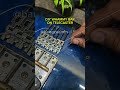 DIY UPDOWN ON TELECASTER ?!! #guitar