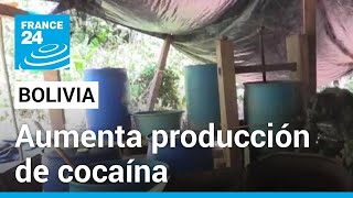 Bolivia es ahora uno de los mayores productores de cocaína en el mundo, según la ONU • FRANCE 24