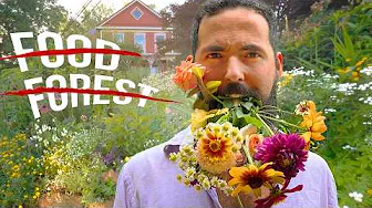 Why I abandoned my FOOD FOREST