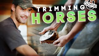 Trimming Some Horses  Horse Shelter Heroes S3E30