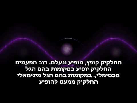 וִידֵאוֹ: הד: בני אדם מסוגלים 