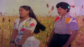 Kondaveeti Raja Movie Songs - Naa Koka Bagunda - Chiranjeevi Radha VijayaShanthi