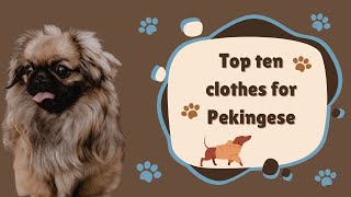 Top ten clothes for Pekingese |  The 10 Best Clothes for Your Furry Friend | Pet Knowledge Zone #dog by Pet Knowledge Zone 15 views 1 year ago 3 minutes, 41 seconds