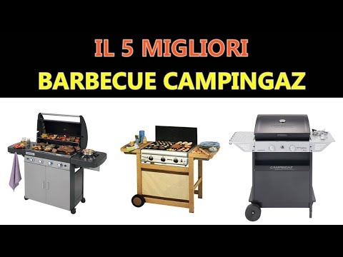 Ricette barbecue a gas campingaz