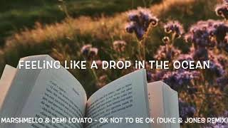 Marshmello & Demi Lovato - Ok Not to Be Ok (Duke & Jones Remix) Lyrics