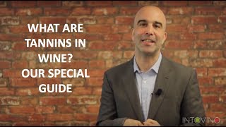 What Are Tannins in Wine? Our Special Guide