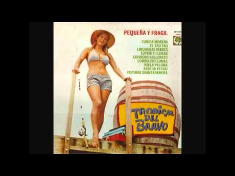 201368 154 Pm Tropical Del Bravo Pequena Y Fragil Lp Com3 201368 154 Pm Tropical Del Bravo Pequena Y Fragil Lp Com3