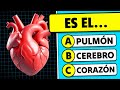 Cunto sabes del cuerpo humano   30 preguntas de cultura general