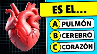 ¿Cuánto Sabes del CUERPO HUMANO? 🧠💪✅ | 30 Preguntas de Cultura General