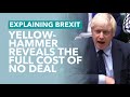 What The Yellowhammer Report Tells Us About No Deal - Brexit Explained