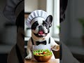 French bulldog cooking a salad #cooking #cookingvideo #salad #frenchbulldog