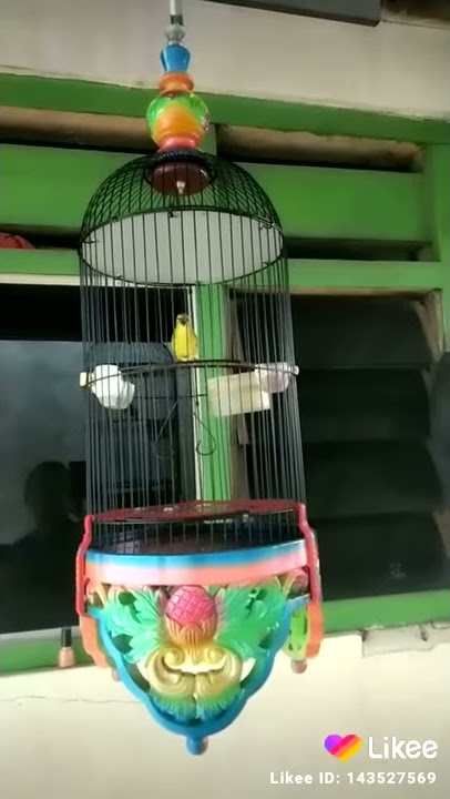 Pleci Durasi Sepur Tembak Tanpa Jeda
