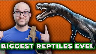 The BIGGEST Reptiles To EVER Exist! Are Dinosaurs REALLY Reptiles!?