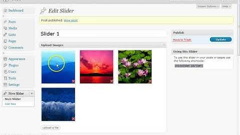 Nivo Slider WordPress Plugin Demo