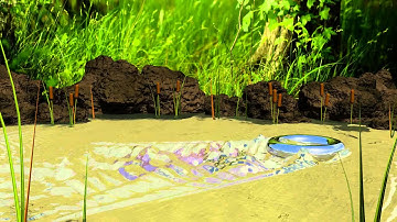 blender dynamic paint test