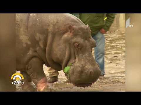 4 წელი 13 ივნისის ტრაგედიიდან