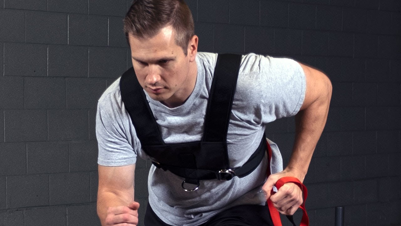 Body-Solid Tools BSTSH Sled Harness (BodySolid.com)