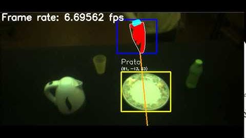 Object & gesture recognition system for human-robot interaction and cooperation