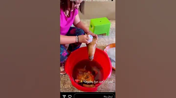 رانيا ازميرالدا تنقي في بوزلوف 