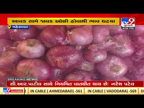 Onion makes Mehsana farmers in tough times |Gujarat |TV9GujaratiNews