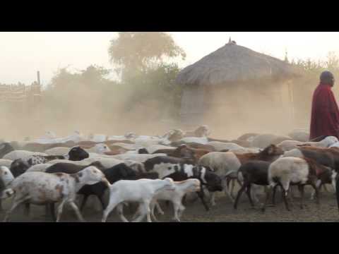 Masai Village Visit June 2015