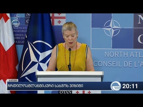 ჩრდილოატლანტიკური საბჭოს ვიზიტი