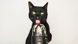 ASMR CAT LICKING & EATING ON MIC