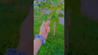 Download Lagu Freeze put your hands up 🖐🏻#Hand video ✌🏻#Statis MP3 Download Lagu Freeze put your hands up 🖐🏻#Hand video ✌🏻#Statis MP3