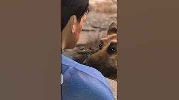 Fallout 4 Broke Again - How Bethesda Plans to Fix It!