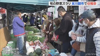 赤かぶや白菜など旬の食材を格安販売　宮川朝市で「収穫祭」岐阜・高山(2022/11/19)
