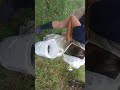 Promise Land Farms swarm removal by Emily Mueller with Mueller Honey Bee Rescue