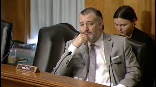 Generational Courage And Determination Ted Cruz Touts Trumps War With Iran During Senate Hearing