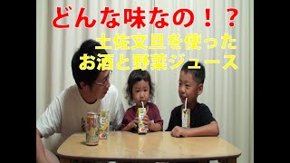 どんな味なの！？野菜生活100「高知和柑橘」と、氷結「土佐文旦」を飲んでみた！