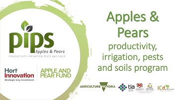 PIPS3  - Advancing sustainable & technology driven apple orchard production systems (AP19003)