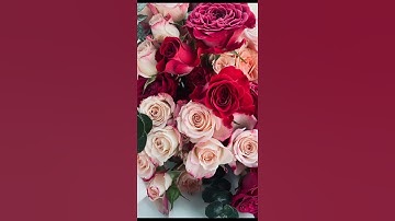 ارح قلبك دقيقه من سورة البقرة (وان نصر الله قريب )❤️