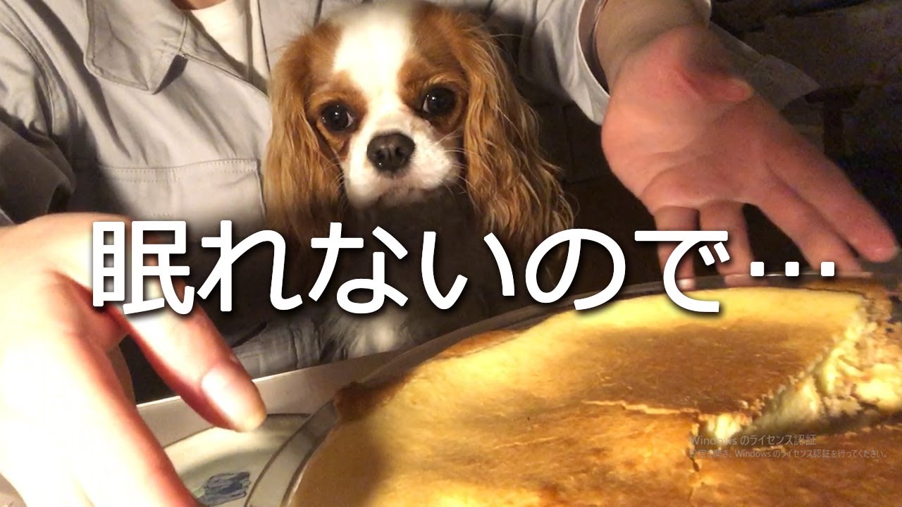 犬よ 深夜２時から作る濃厚チーズケーキやばいね Youtube