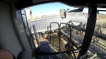 974 Macdon Flexdraper