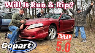 Copart Total Mustang GT Will It Start and Rip? Hidden Damage? 5.0 5 speed!