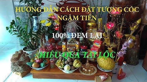 Hướng dẫn cách đặt tượng cóc ngậm tiền đảm bảo 100% mang lại tài lộc