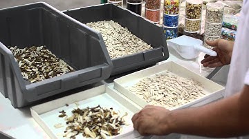 Sunflower Seed Labrotory Type Color Sorter Machine - akytechnology.com