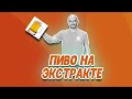 Темный эль: варим пиво из солодового экстракта. Рецепт с декстрозой и с неохмеленным экстрактом