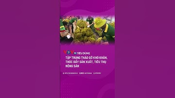 Tập trung tháo gỡ khó khăn, thúc đẩy sản xuất, tiêu thụ nông sản | VOVTV Tiêu dùng