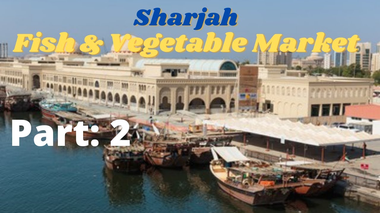Sharjah Fish & Vegetable Market_Part 2 YouTube