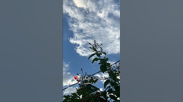 سورة التكوير (إِذَا الشَّمْسُ كُوِّرَت) الشيخ عبد الباسط عبد الصمد | #القرآن_الكريم #اكسبلور #القرآن