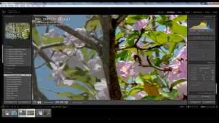 Basic retouching in Lightroom 5