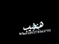 حاله واتس مرشدين حكاكين مش سايبنا في حالنا تصميم شاشه سوداء حاله واتس مرشدين حكاكين مش سايبنا في حالنا تصميم شاشه سوداء